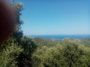 Gite d'OLIVO, Rogliano